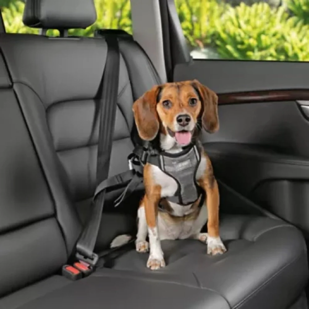 Top Paw Deluxe Car Safety Harness